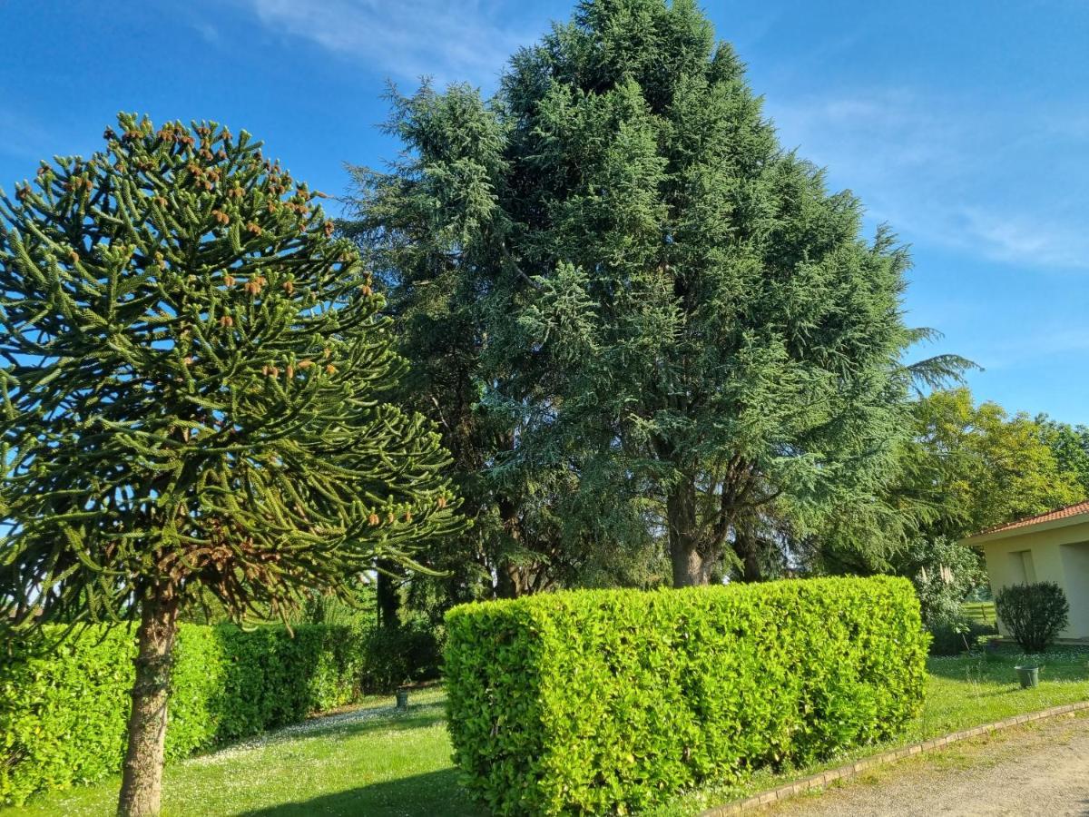 Les 3 Cedres Villa Miramont-de-Guyenne Eksteriør billede