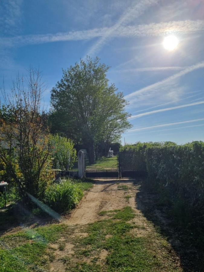 Les 3 Cedres Villa Miramont-de-Guyenne Eksteriør billede